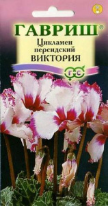 Цикламен персидский Виктория  купить