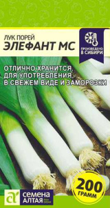 Лук (порей) Элефант МС купить