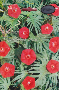 Ипомея Рубиновые огни/1шт купить