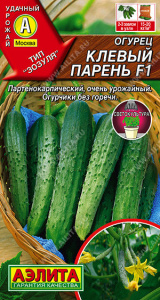 Огурец Клевый парень F1 купить