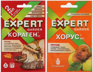 Кораген 2мл+ Хорус 2г в подарок (15/60) купить