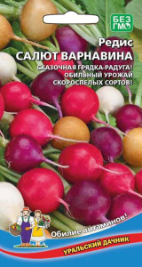 Редис Салют Варнавина  купить