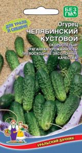 Огурец Челябинский Кустовой купить