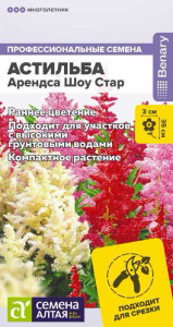 Астильба Арендса Шоу Стар купить