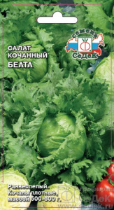 Салат Беата кочанный купить