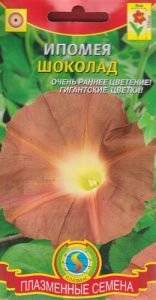 Ипомея Шоколад  купить