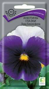Анютины глазки Лорд Биконсфилд купить