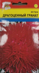 Астра Драгоценный Гранат  купить