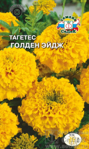 Тагетес Голден Эйдж  купить