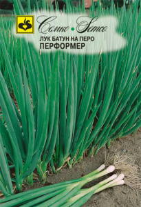 Лук на перо Перформер, батун купить