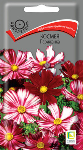 Космея Парижанка купить