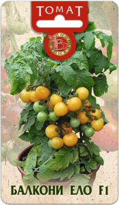 Томат декор. Балкон  Ело купить