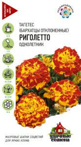 Бархатцы Риголетто (Тагетес)  Уд. с. купить
