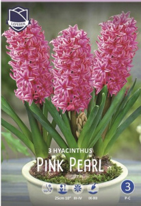 Гиацинт Пинк Перл /3шт купить