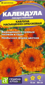 Календула Каблуна насыщенно-оранжевая 										 купить