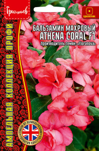 Бальзамин Афина F1 Коралл (Athena Coral)  амп. купить