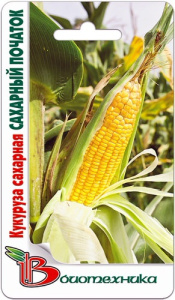 Кукуруза Сахарный початок  купить