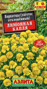 Бархатцы Лимонная капля отклоненные купить