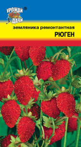 Земляника Рюген купить