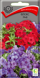 Флокс Эльф купить