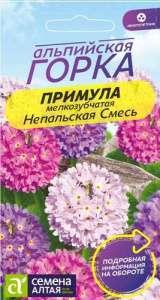 Примула Непальская смесь зубчатая  купить