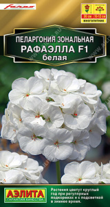 Пеларгония Рафаэлла F1 белая  купить