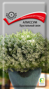 Алиссум Хрустальный звон купить