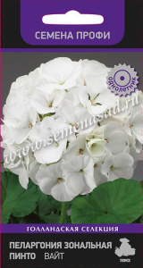 Пеларгония зональная Пинто Вайт  купить