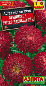 Астра Принцесса Ротер Эдельштейн купить