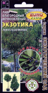 Лавр Экзотика вечнозеленый  купить