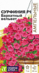 Сурфиния Бархатный вельвет  купить