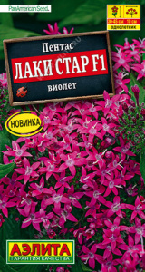 Пентас Лаки стар F1 виолет  купить
