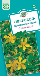 Зверобой Продырявленный  купить