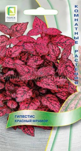 Гипестис Мрамор Красный купить