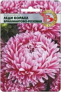 Астра Леди Коралл Бриллиантово-Розовая купить