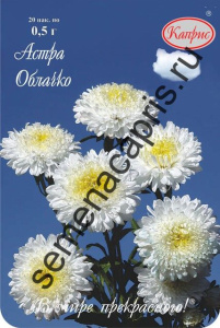 Астра Облачко/1шт купить