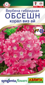 Вербена Обсешн корал виз ай купить