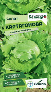 Салат Картаганова купить