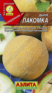 Дыня Лакомка  купить