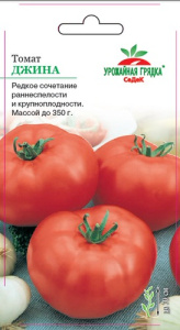 Томат Джина  купить