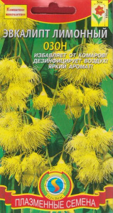 Эвкалипт лимонный  купить