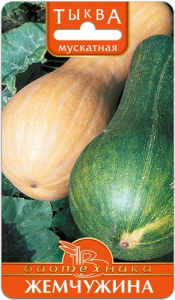 Тыква Жемчужина  купить