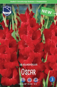 Гладиолус XXL Oscar 14/16 (1х10шт) купить