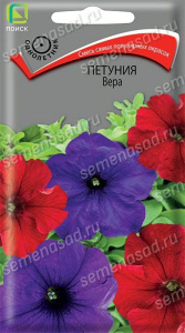 Петуния Вера купить