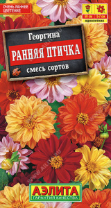 Георгина Ранняя птичка махровая, смесь  купить