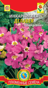 Инкарвиллея Делавея  купить