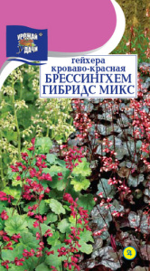 Гейхера Брессингхем Гибридс Микс  купить