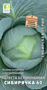 Капуста Сибирячка 60 купить