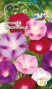 Ипомея пурпурная Звонница купить