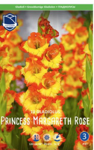 Гладиолус XXL Princess Margaret Rose 14/16 /10шт купить